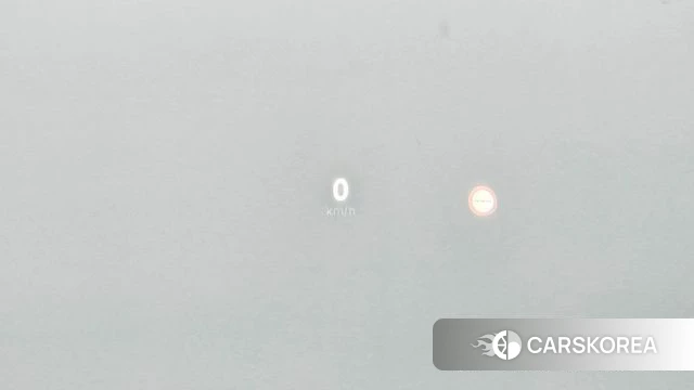 Renault Korea (Samsung) Grand Coleos id 3921500 из Кореи 11