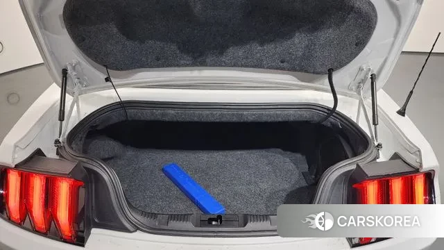 Ford Mustang id 3713619 из Кореи 11