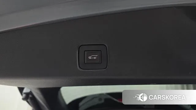 Chevrolet (GM Daewoo) Trailblazer id 3525055 из Кореи 11