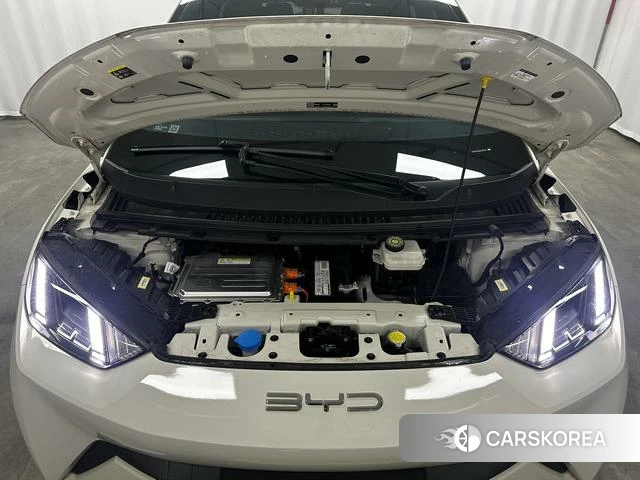 BYD Seagull id 4217467 из Китая 11