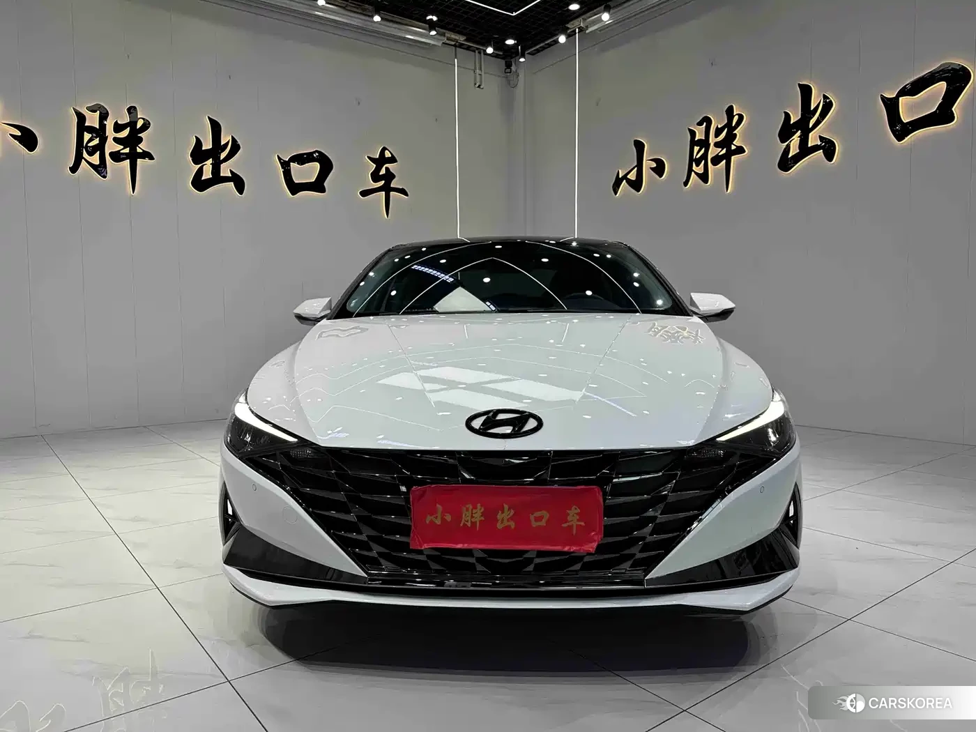 Hyundai Elantra id 4659720 из Китая 11