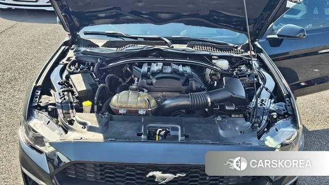 Ford Mustang id 3829267 из Кореи 11