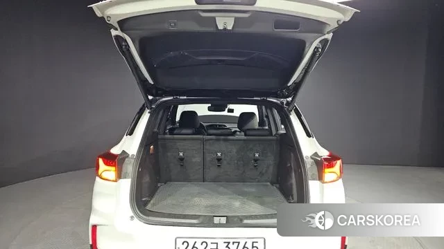 Chevrolet (GM Daewoo) Trailblazer id 3004202 из Кореи 11