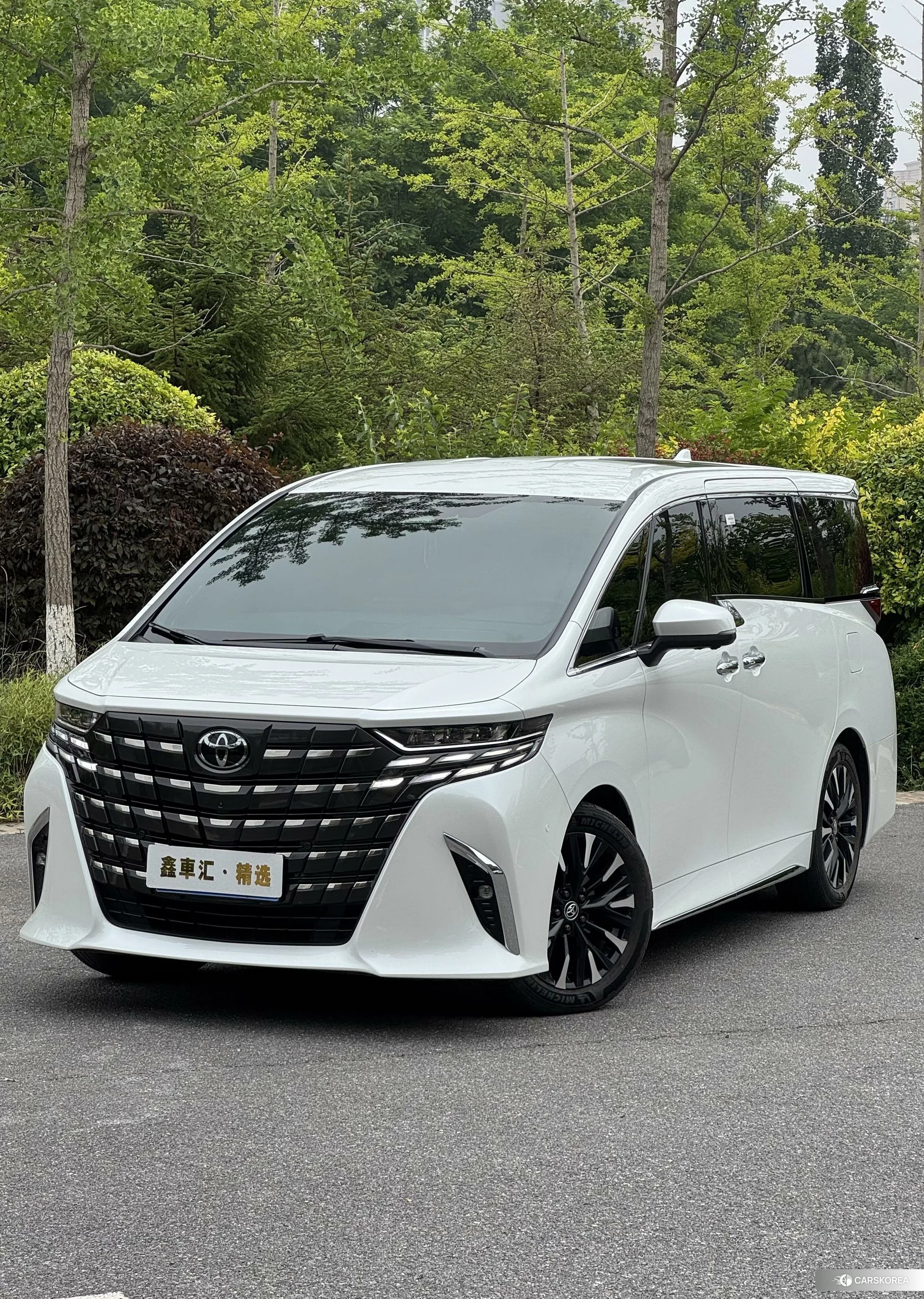 Toyota Elfa id 4454654 из Китая 11