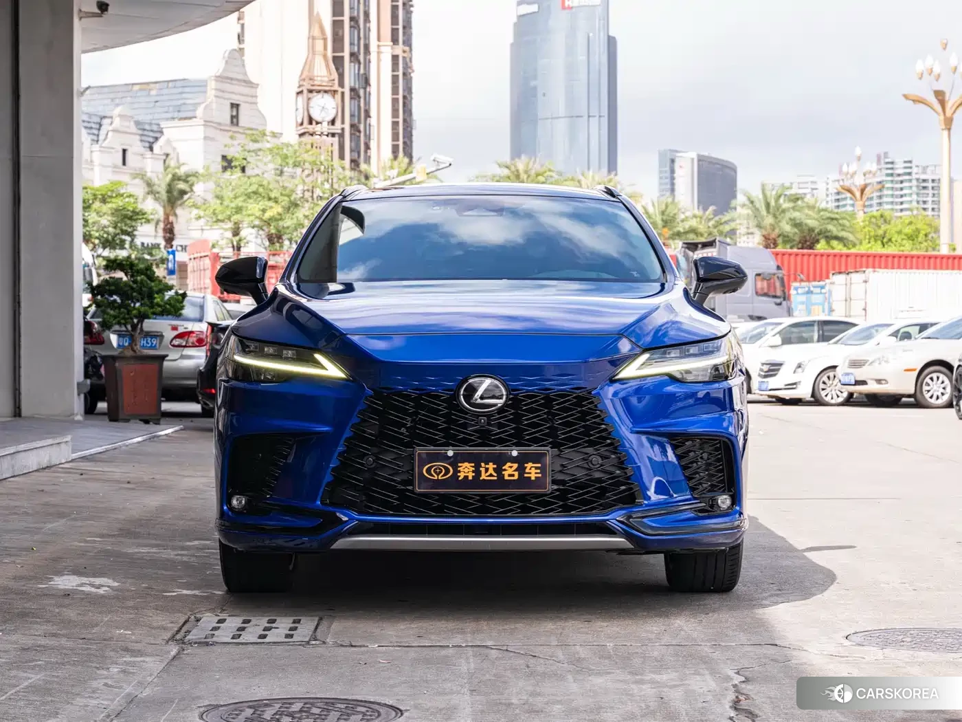Lexus RX id 4600677 из Китая 11
