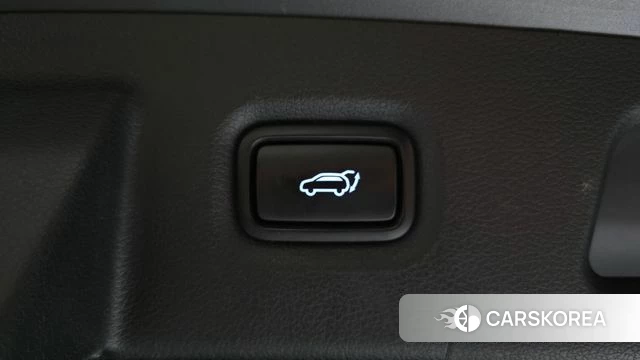 Hyundai Santa Fe TM id 4781078 из Кореи 11