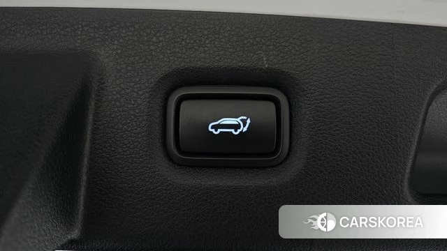 Hyundai Santa Fe TM id 4595294 из Кореи 11