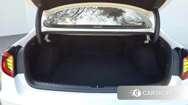 Hyundai Sonata (DN8) id 3778865 из Кореи 11