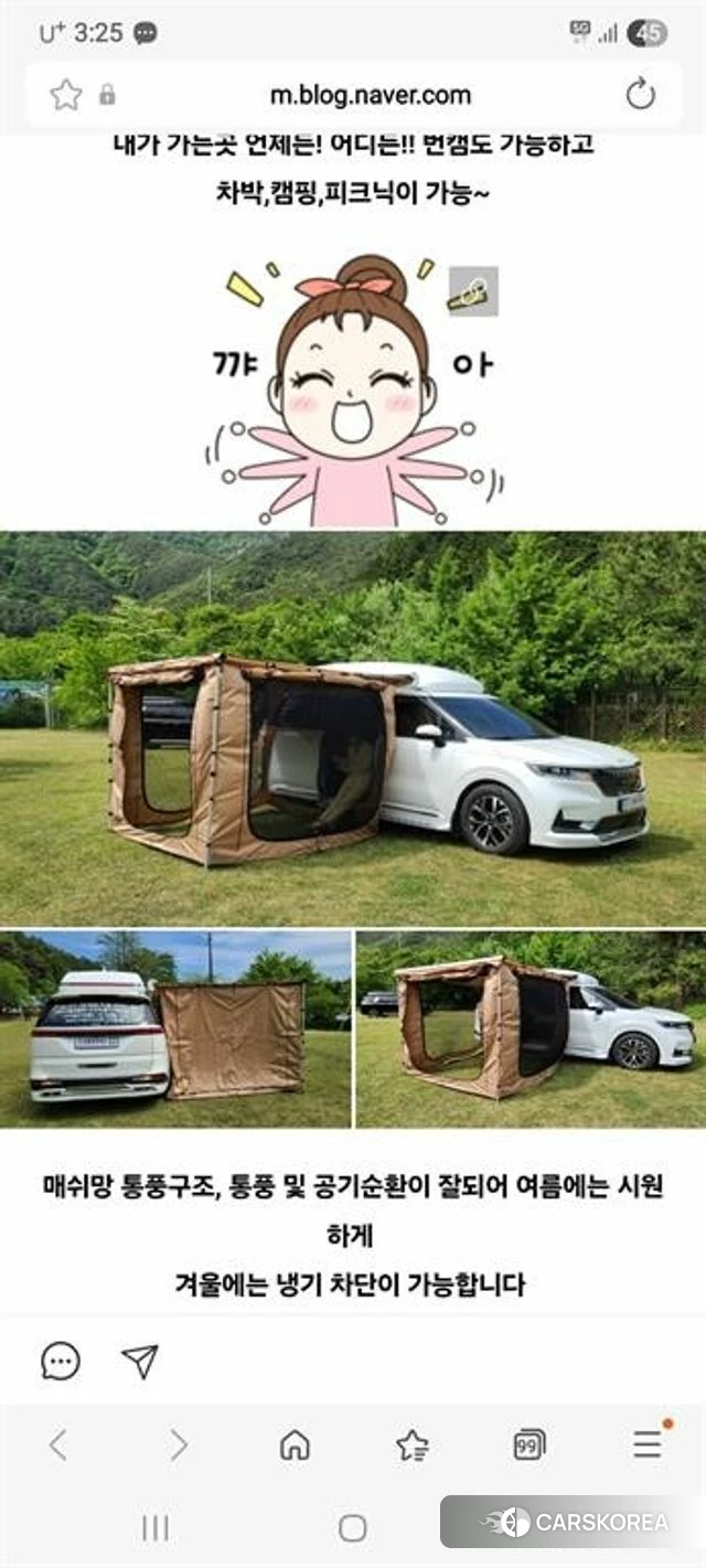 Kia The New Carnival 4th Generation id 3952861 из Кореи 11