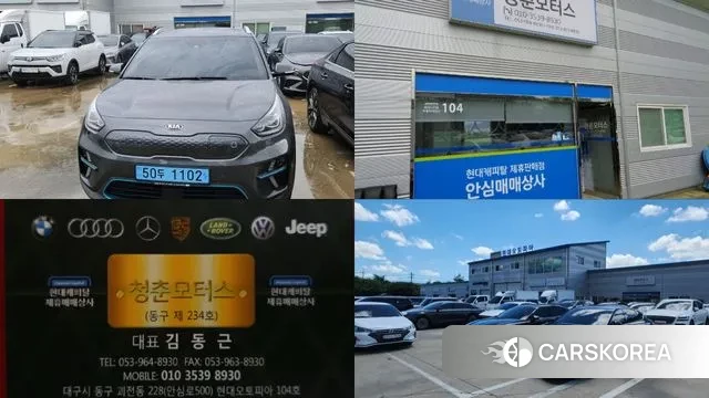 Kia Niro EV id 3008244 из Кореи 11