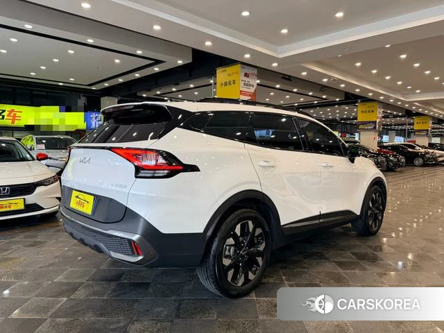 Kia Lion Platinum expands the world id 4297723 из Китая 11