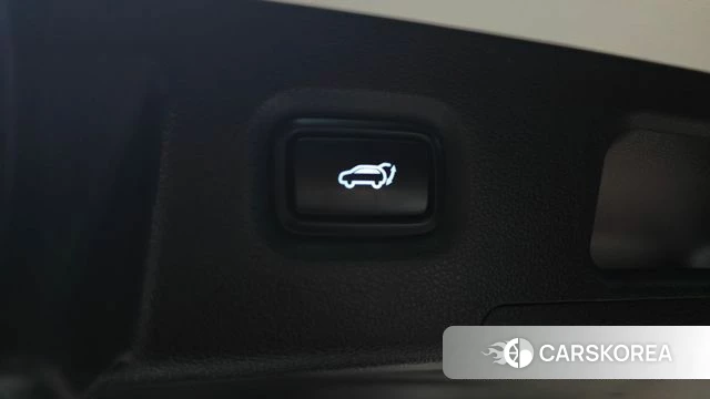 Hyundai Santa Fe TM id 3917000 из Кореи 11