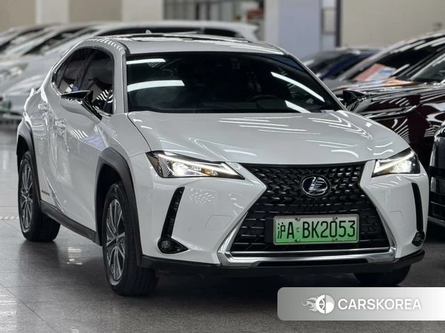 Lexus UX EV id 4297725 из Китая 11