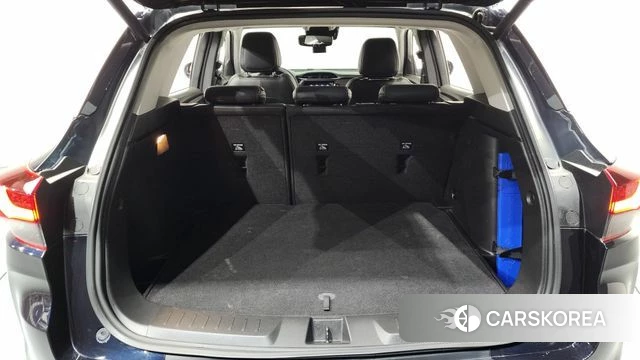 Chevrolet (GM Daewoo) Trailblazer id 3834030 из Кореи 11