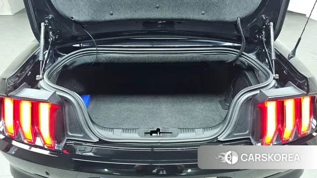 Ford Mustang id 3196284 из Кореи 11