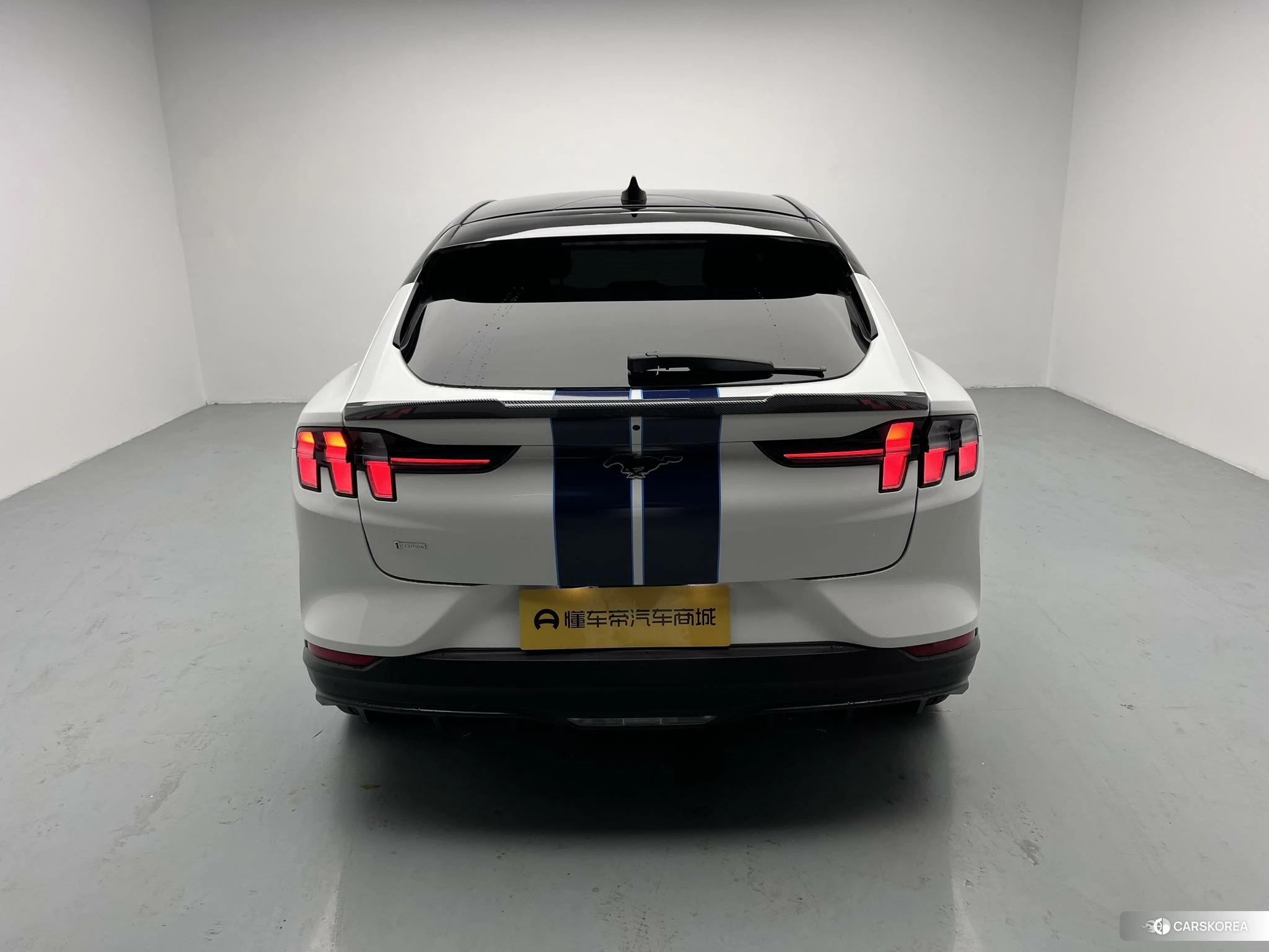 Ford Electric horse id 4461393 из Китая 11