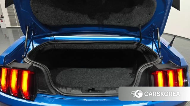 Ford Mustang id 3795439 из Кореи 11