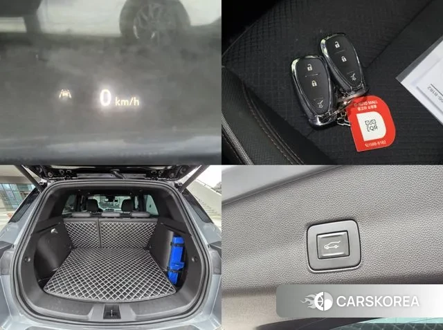 Chevrolet (GM Daewoo) Trailblazer id 3727983 из Кореи 11