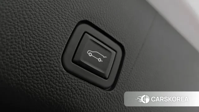 Chevrolet (GM Daewoo) Traverse id 3361629 из Кореи 11