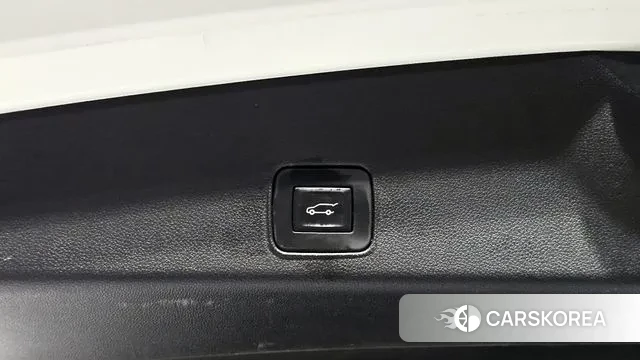 Chevrolet (GM Daewoo) Trailblazer id 3587909 из Кореи 11