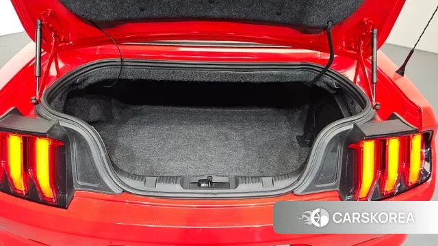 Ford Mustang id 3641122 из Кореи 11