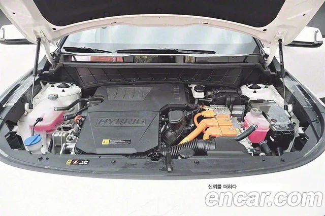 Kia Di Ol Nu Niro id 2357949 из Кореи 11