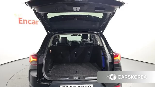 Chevrolet (GM Daewoo) Trailblazer id 3090116 из Кореи 11