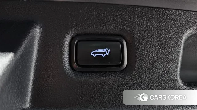 Hyundai Santa Fe TM id 3616976 из Кореи 11