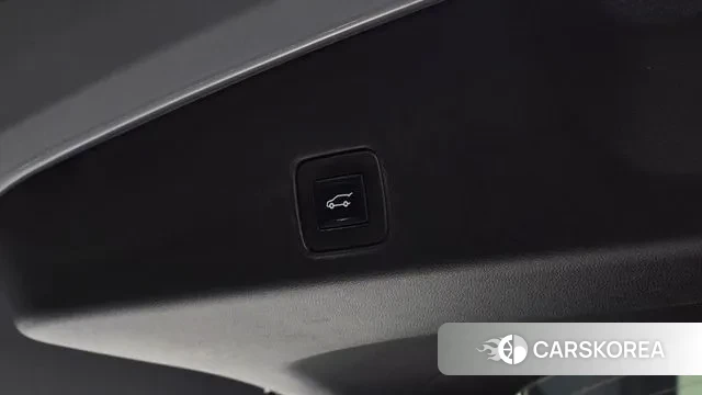 Chevrolet (GM Daewoo) Trailblazer id 3717111 из Кореи 11