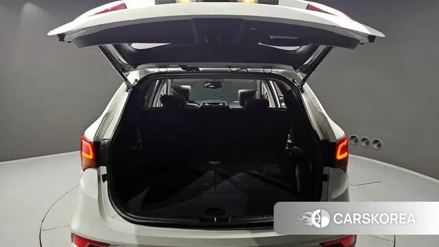 Hyundai Santa Fe The Prime id 3480405 из Кореи 11