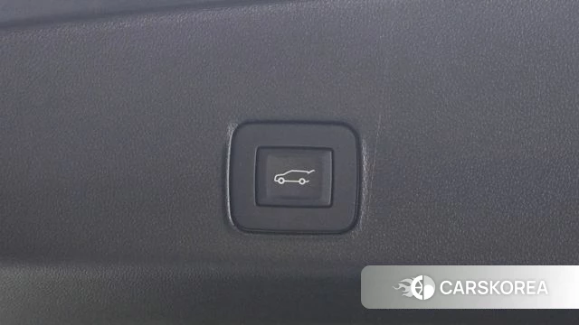 Chevrolet (GM Daewoo) Trailblazer id 4608524 из Кореи 11