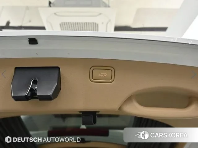 Kia The New Carnival id 3018098 из Кореи 11