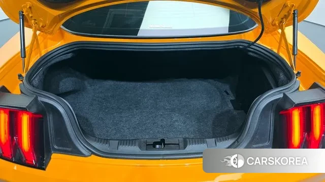 Ford Mustang id 3149879 из Кореи 11