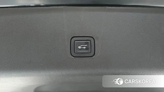 Chevrolet (GM Daewoo) Traverse id 3406009 из Кореи 11