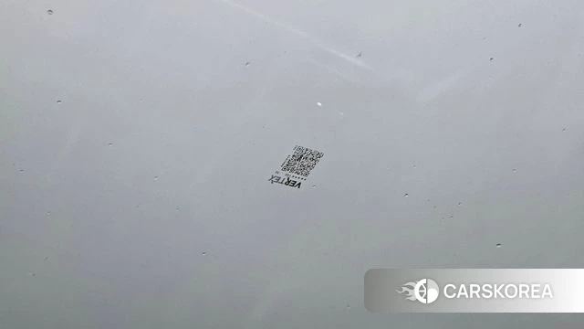 Renault Korea (Samsung) Grand Coleos id 4715056 из Кореи 11