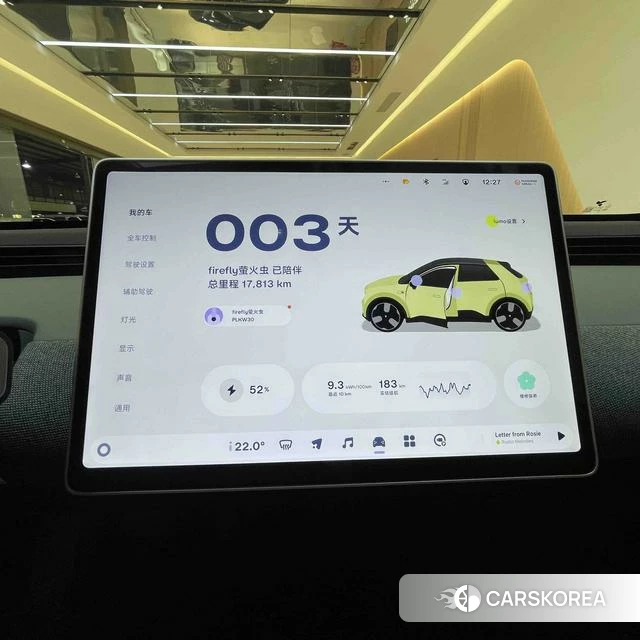 firefly firefly Unknown id 3993585 из Китая 11