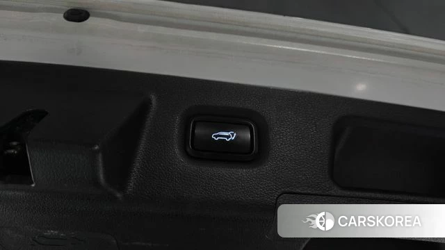 Hyundai Santa Fe TM id 3936730 из Кореи 11