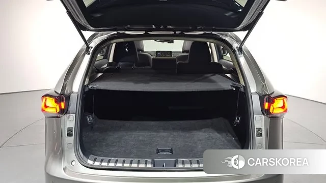 Lexus NX300h id 3602041 из Кореи 11