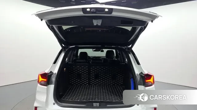 Chevrolet (GM Daewoo) Trailblazer id 3400511 из Кореи 11