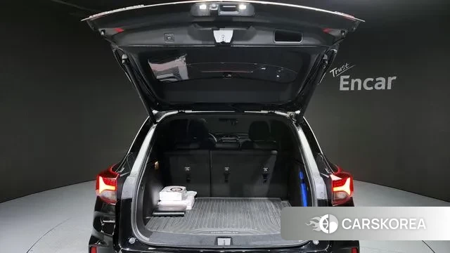 Chevrolet (GM Daewoo) Trailblazer id 3037599 из Кореи 11