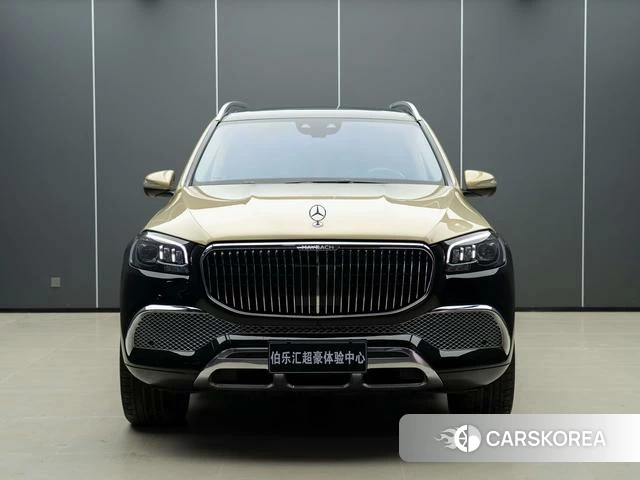 Mercedes-Benz Maybach GLS id 4221711 из Китая 11