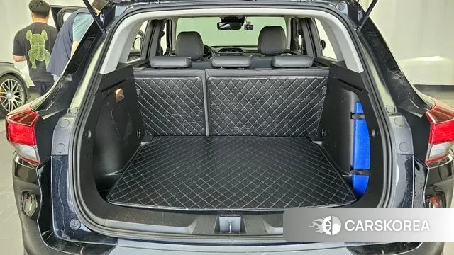 Chevrolet (GM Daewoo) Trailblazer id 3059223 из Кореи 11