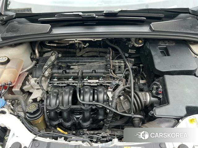 Ford Fox id 4213516 из Китая 11