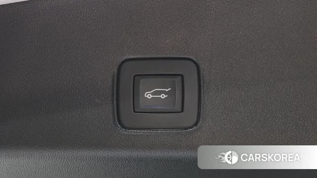 Chevrolet (GM Daewoo) Trailblazer id 3058464 из Кореи 11