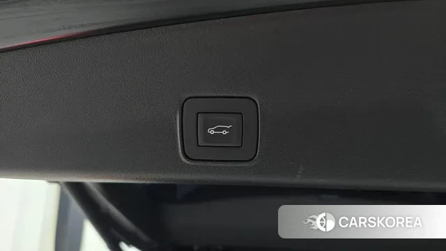 Chevrolet (GM Daewoo) Trailblazer id 3523999 из Кореи 11