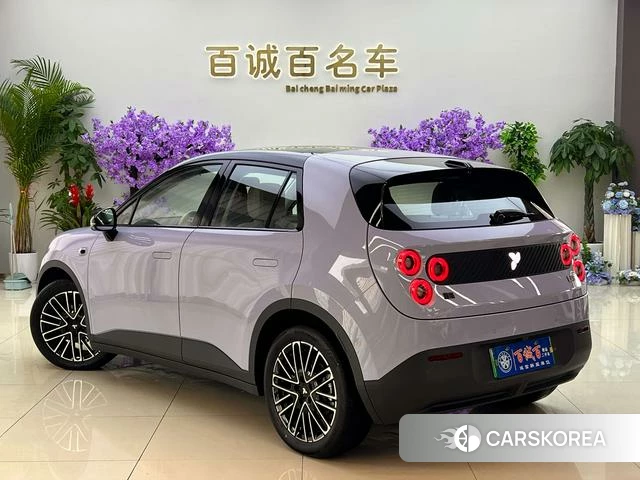 firefly firefly Unknown id 4198925 из Китая 11