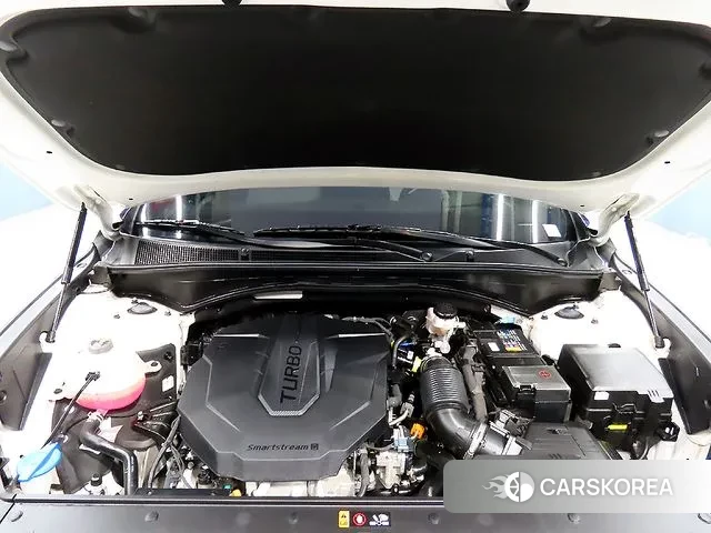 Hyundai The New Santa Fe id 3021001 из Кореи 11