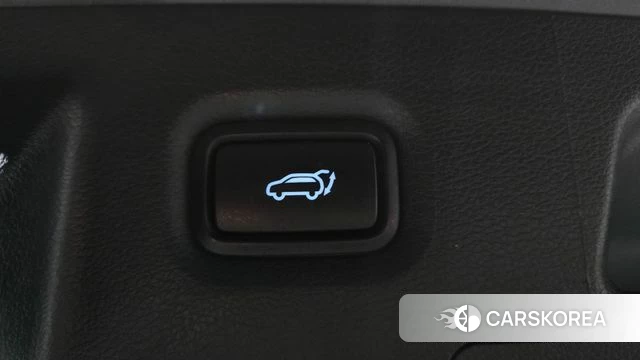 Hyundai The New Santa Fe id 3807154 из Кореи 11