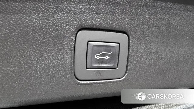 Chevrolet (GM Daewoo) Trailblazer id 3037424 из Кореи 11