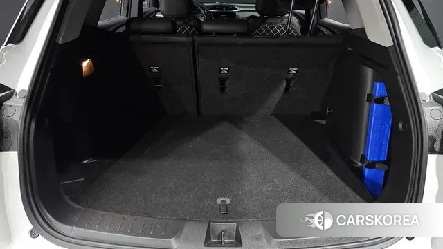 Chevrolet (GM Daewoo) Trailblazer id 3390135 из Кореи 11